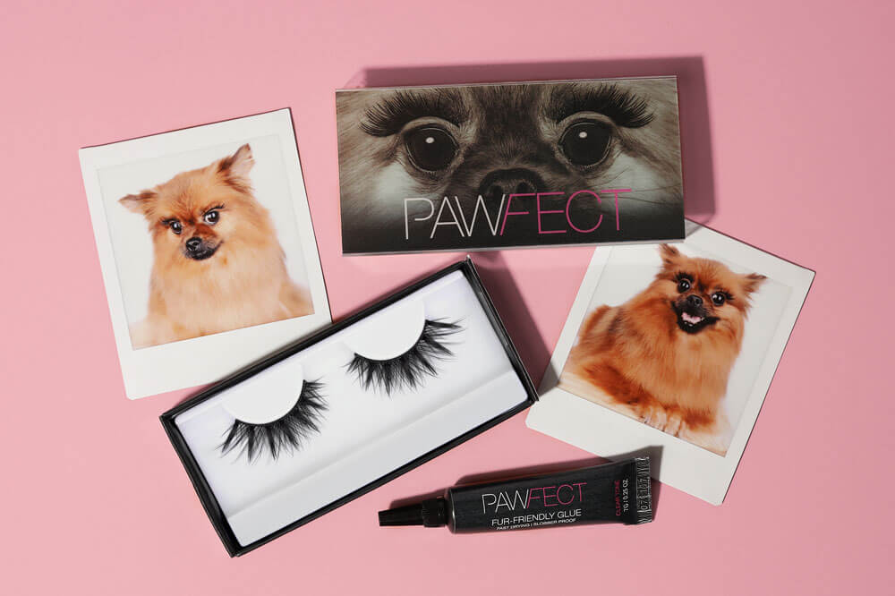Surprise! Beautify Your Pooches With Our Pet-Friendly Lashes! - A1