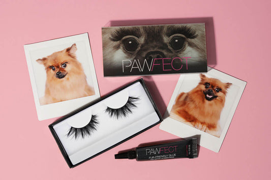 Surprise! Beautify Your Pooches With Our Pet-Friendly Lashes! - A1