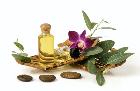 The Amazing Oil Your Beauty Shelf Is Missing Costs Less Than $5 - A1