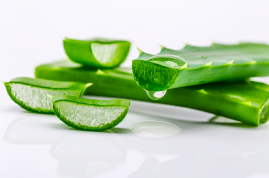 We’re Buying An Aloe Vera Plant Right Now! - A1