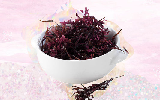 Sea Moss Is The Weird New Superfood With SO MANY Benefits! - A1