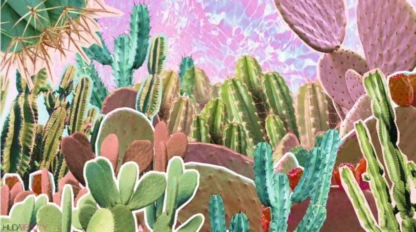 This is Why Cactus Water is Your Skin’s New BFF - A1