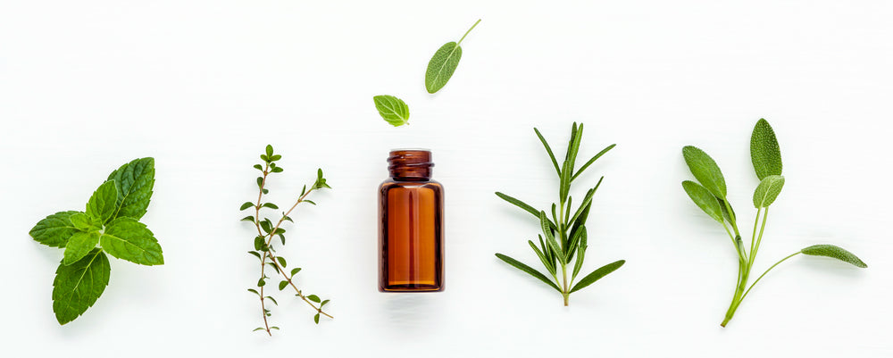 These 4 Essential Oils Will Make You Look & Feel Better Instantly - A1