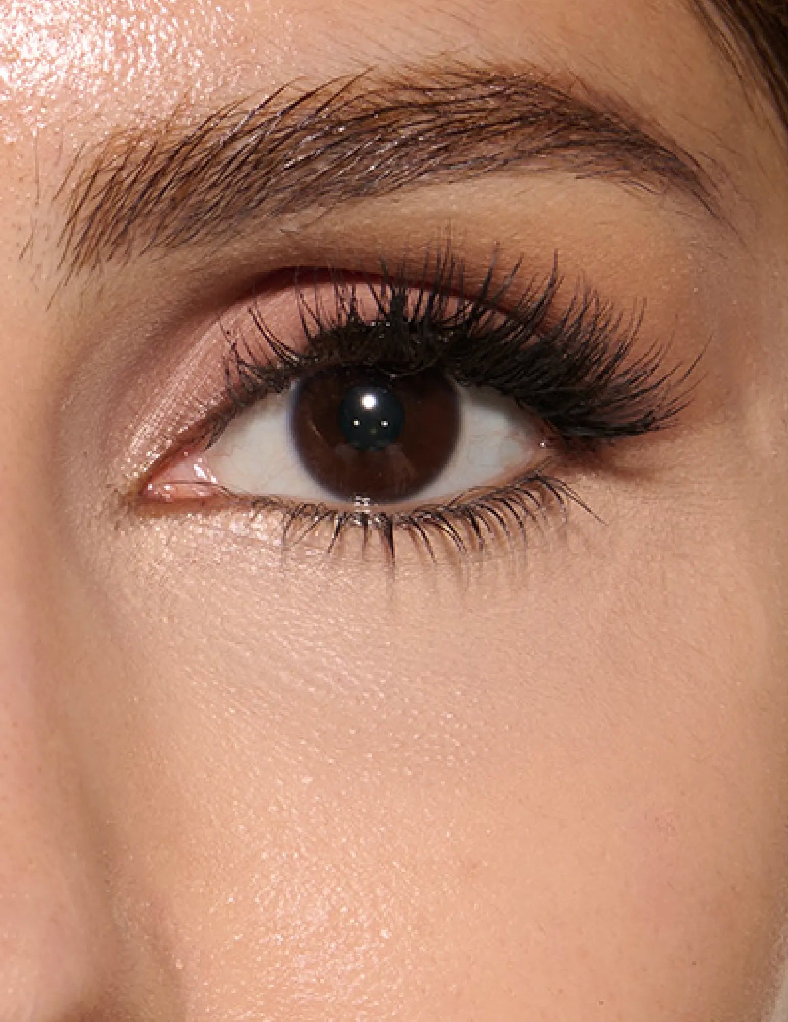 Ramadan Campaign  -  Landing Page - 3 Simple Steps - step 2 - CONCEALER