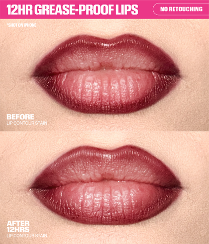 Lip Contour Lip Stain For 12-Hour Wear - Rosy Mauve Before & After - no retouching - 12H Grease-Proof Lips