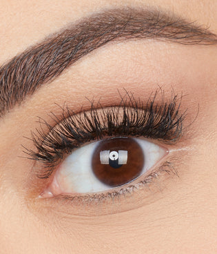 Classic False Lash - Giselle #1
