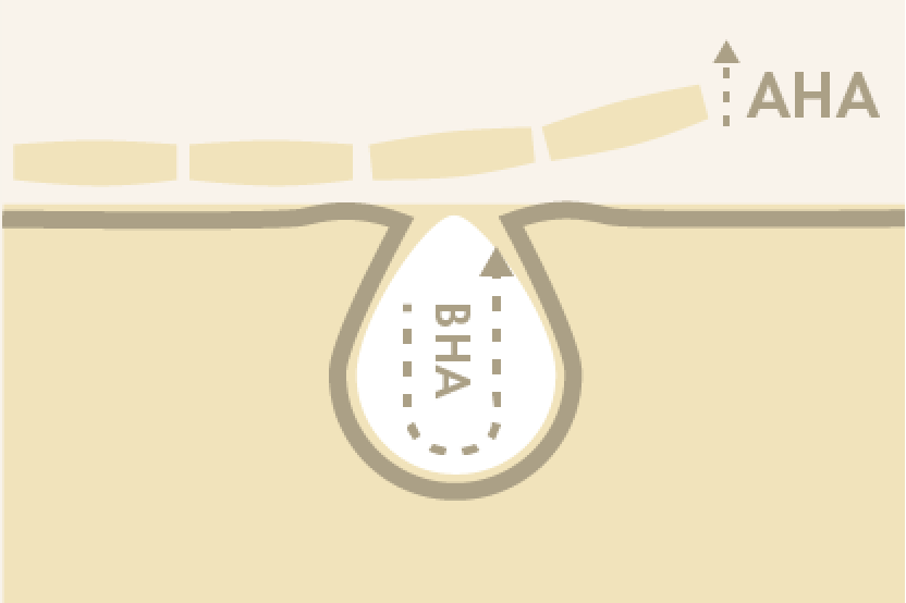 2: Chemical AHAs & BHAs